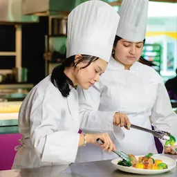 Bachelor of Arts in Culinary Arts (3+0)